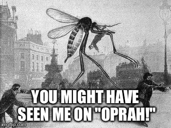 Mosquito Attack | YOU MIGHT HAVE SEEN ME ON "OPRAH!" | image tagged in mosquito attack | made w/ Imgflip meme maker