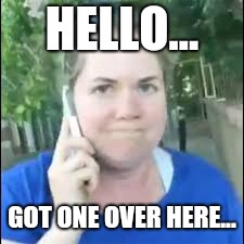 HELLO... GOT ONE OVER HERE... | image tagged in permit patty | made w/ Imgflip meme maker