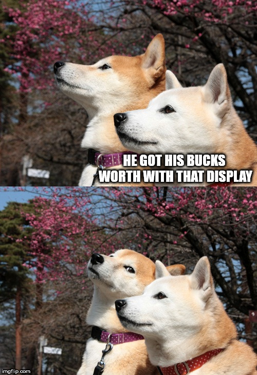 Bad pun dogs | HE GOT HIS BUCKS WORTH WITH THAT DISPLAY | image tagged in bad pun dogs | made w/ Imgflip meme maker
