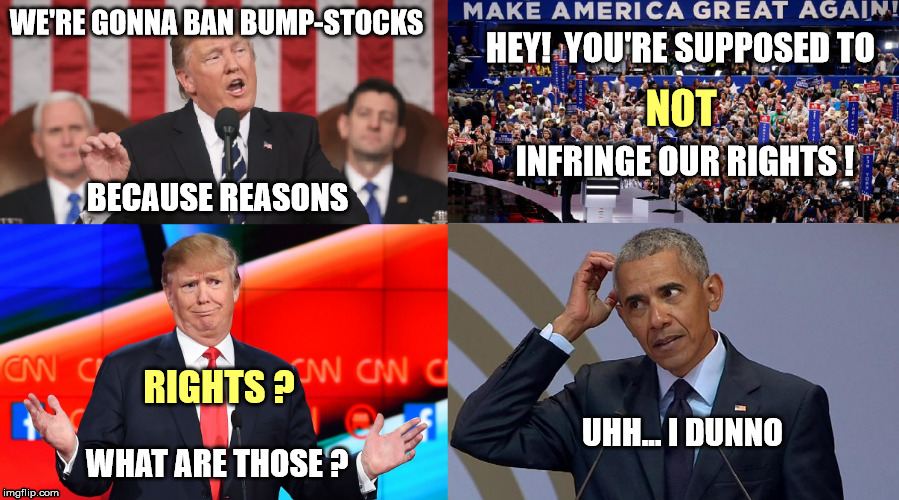 Ban bump-stocks... Huh? What rights? | WE'RE GONNA BAN BUMP-STOCKS; HEY!  YOU'RE SUPPOSED TO; NOT; INFRINGE OUR RIGHTS ! BECAUSE REASONS; RIGHTS ? UHH... I DUNNO; WHAT ARE THOSE ? | image tagged in 2nd amendment,ban,trump,obama,idk,rights | made w/ Imgflip meme maker