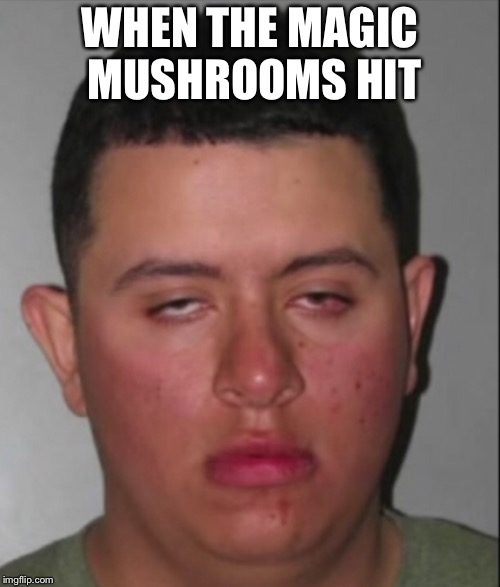 WHEN THE MAGIC MUSHROOMS HIT | image tagged in mushrooms,dope,high,weed | made w/ Imgflip meme maker