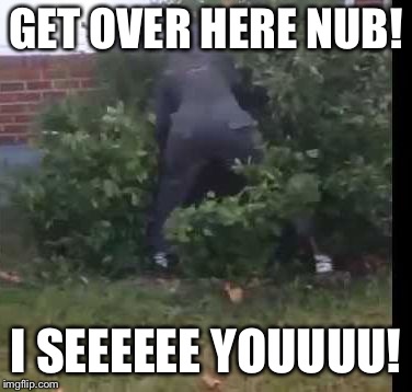 fortnit bush | GET OVER HERE NUB! I SEEEEEE YOUUUU! | image tagged in fortnit bush | made w/ Imgflip meme maker