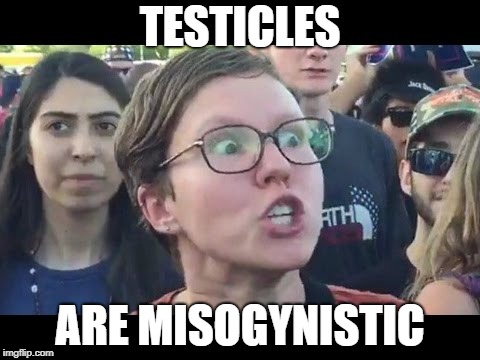 Angry sjw | TESTICLES ARE MISOGYNISTIC | image tagged in angry sjw | made w/ Imgflip meme maker