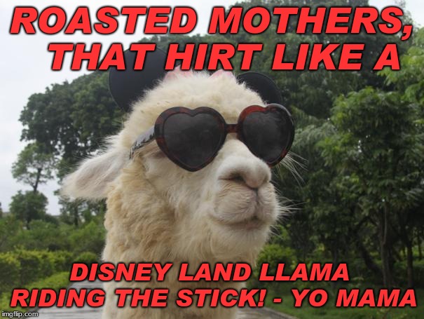 cool llama | ROASTED MOTHERS,  THAT HIRT LIKE A; DISNEY LAND LLAMA RIDING THE STICK! - YO MAMA | image tagged in cool llama | made w/ Imgflip meme maker