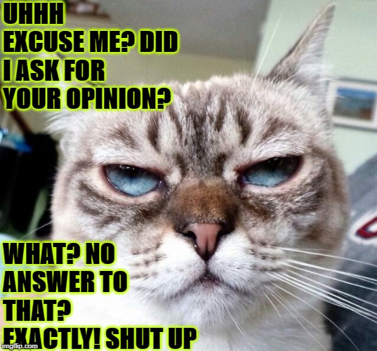 UHHH EXCUSE ME? DID I ASK FOR YOUR OPINION? WHAT? NO ANSWER TO THAT? EXACTLY! SHUT UP | image tagged in who asked you | made w/ Imgflip meme maker