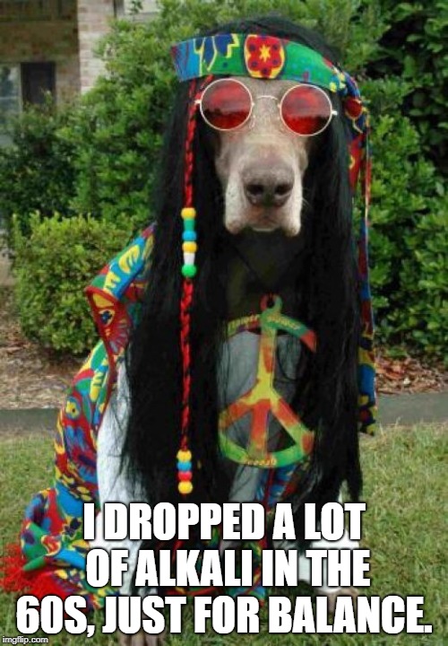 Hippie dog  | I DROPPED A LOT OF ALKALI IN THE 60S, JUST FOR BALANCE. | image tagged in hippie dog | made w/ Imgflip meme maker