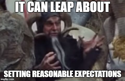 Tim and expectations. | IT CAN LEAP ABOUT; SETTING REASONABLE EXPECTATIONS | image tagged in tim and expectations,monty python and the holy grail,killer rabbit,tim,expectations,dungeons and dragons | made w/ Imgflip meme maker