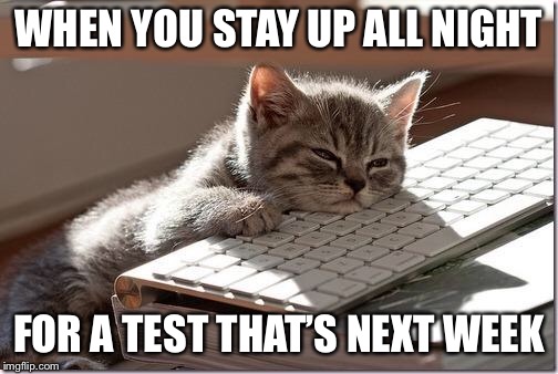 Bored Keyboard Cat | WHEN YOU STAY UP ALL NIGHT; FOR A TEST THAT’S NEXT WEEK | image tagged in bored keyboard cat | made w/ Imgflip meme maker