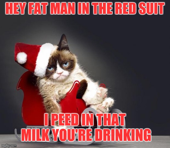 Santa Must have brought the wrong gift last year | HEY FAT MAN IN THE RED SUIT; I PEED IN THAT MILK YOU'RE DRINKING | image tagged in grumpy cat christmas hd,memes,funny,grumpy cat christmas,santa memes | made w/ Imgflip meme maker