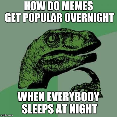 Philosoraptor Meme | HOW DO MEMES GET POPULAR OVERNIGHT; WHEN EVERYBODY SLEEPS AT NIGHT | image tagged in memes,philosoraptor | made w/ Imgflip meme maker