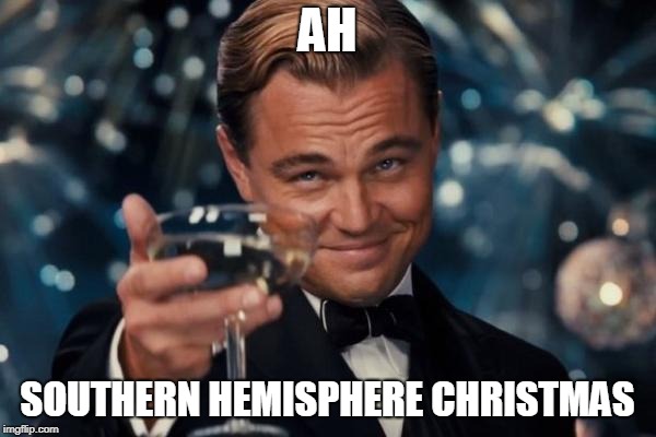 Leonardo Dicaprio Cheers Meme | AH SOUTHERN HEMISPHERE CHRISTMAS | image tagged in memes,leonardo dicaprio cheers | made w/ Imgflip meme maker