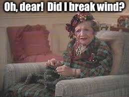 May you and yours have a gas this Christmas!  | Oh, dear!  Did I break wind? | image tagged in funny memes,christmas vacation,aunt bethany,break wind,its a gas | made w/ Imgflip meme maker