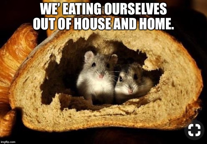 WE’ EATING OURSELVES OUT OF HOUSE AND HOME. | made w/ Imgflip meme maker