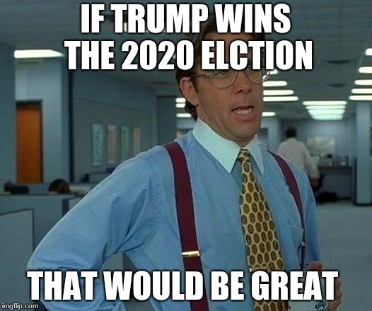That Would Be Great | IF TRUMP WINS THE 2020 ELCTION; THAT WOULD BE GREAT | image tagged in memes,that would be great | made w/ Imgflip meme maker