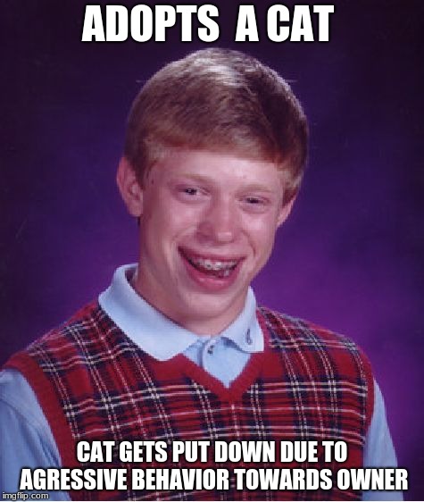 Bad Luck Brian | ADOPTS  A CAT; CAT GETS PUT DOWN DUE TO AGRESSIVE BEHAVIOR TOWARDS OWNER | image tagged in memes,bad luck brian | made w/ Imgflip meme maker