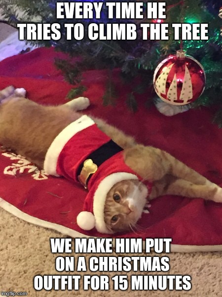 Cat-Proof Christmas Tree | EVERY TIME HE TRIES TO CLIMB THE TREE; WE MAKE HIM PUT ON A CHRISTMAS OUTFIT FOR 15 MINUTES | image tagged in cats,christmas,christmas tree,punishment,humiliation | made w/ Imgflip meme maker