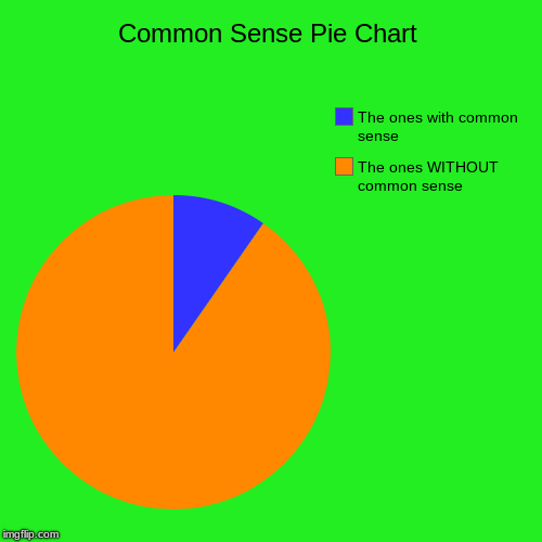 Common Sense Pie Chart | The ones WITHOUT common sense, The ones with common sense | image tagged in funny,pie charts | made w/ Imgflip chart maker