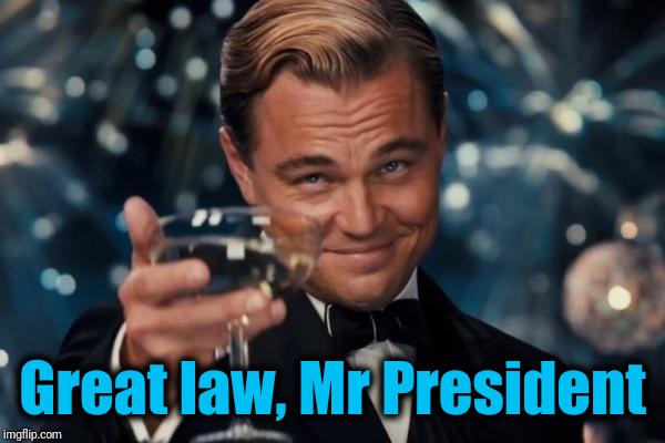 Leonardo Dicaprio Cheers Meme | Great law, Mr President | image tagged in memes,leonardo dicaprio cheers | made w/ Imgflip meme maker