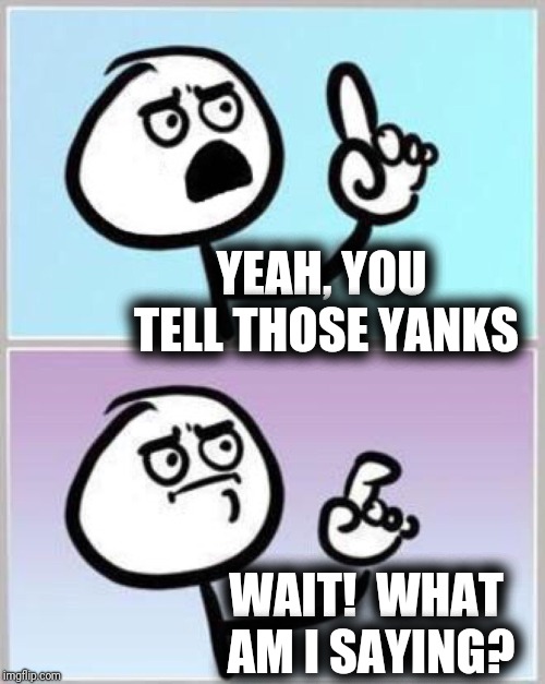 Wait what? | YEAH, YOU TELL THOSE YANKS WAIT!  WHAT AM I SAYING? | image tagged in wait what | made w/ Imgflip meme maker