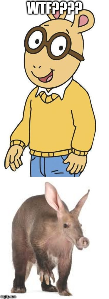 Im currently questioning aardvarkity... | WTF???? | image tagged in arthur,wtf | made w/ Imgflip meme maker