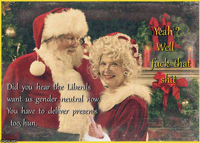 Gender Neutral Santa Claus | image tagged in gender neutral santa claus,gender neutral,santa claus,lol so funny,merry christmas,politics lol | made w/ Imgflip meme maker