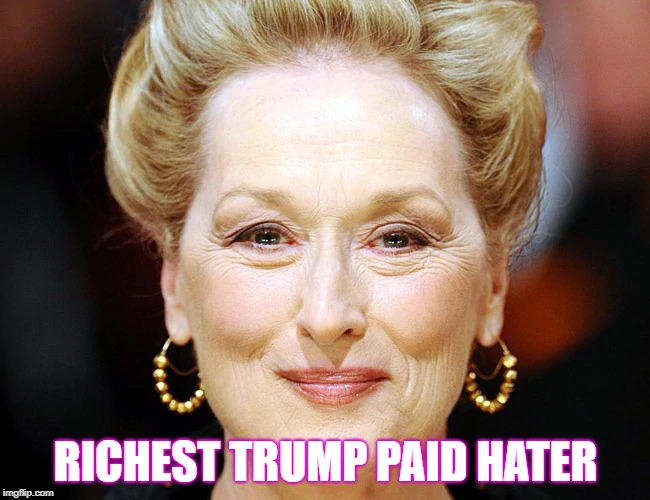 RICHEST TRUMP PAID HATER | image tagged in donald trump,president trump,funny memes | made w/ Imgflip meme maker