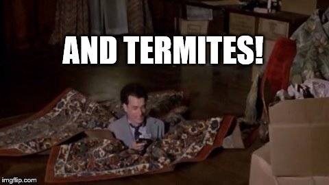 Money Pit | AND TERMITES! | image tagged in money pit | made w/ Imgflip meme maker