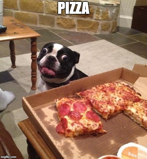 Hungry Pizza Dog | PIZZA | image tagged in hungry pizza dog | made w/ Imgflip meme maker
