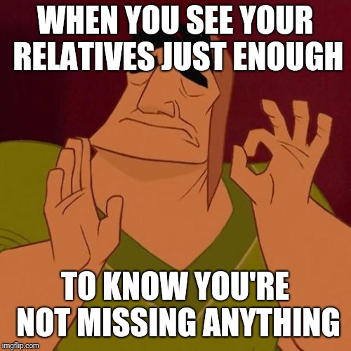 When X just right | WHEN YOU SEE YOUR RELATIVES JUST ENOUGH; TO KNOW YOU'RE NOT MISSING ANYTHING | image tagged in when x just right | made w/ Imgflip meme maker