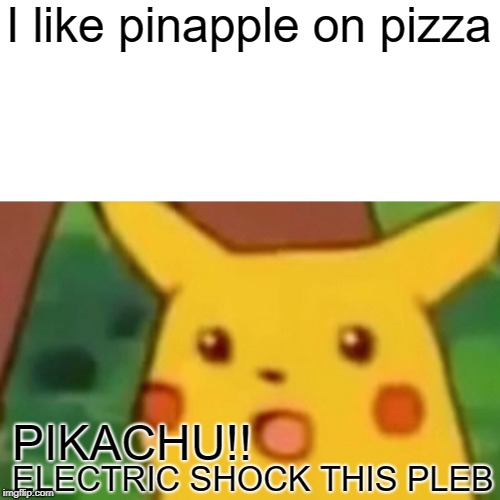 Surprised Pikachu | I like pinapple on pizza; PIKACHU!! ELECTRIC SHOCK THIS PLEB | image tagged in memes,surprised pikachu | made w/ Imgflip meme maker