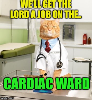SARCASTIC DR CAT | WE’LL GET THE LORD A JOB ON THE.. CARDIAC WARD | image tagged in sarcastic dr cat | made w/ Imgflip meme maker