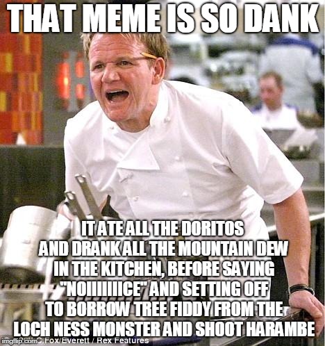 Meme à la Dank | THAT MEME IS SO DANK; IT ATE ALL THE DORITOS AND DRANK ALL THE MOUNTAIN DEW IN THE KITCHEN, BEFORE SAYING "NOIIIIIIICE" AND SETTING OFF TO BORROW TREE FIDDY FROM THE LOCH NESS MONSTER AND SHOOT HARAMBE | image tagged in memes,chef gordon ramsay,dank,dank memes,dank meme december,harambe for president | made w/ Imgflip meme maker