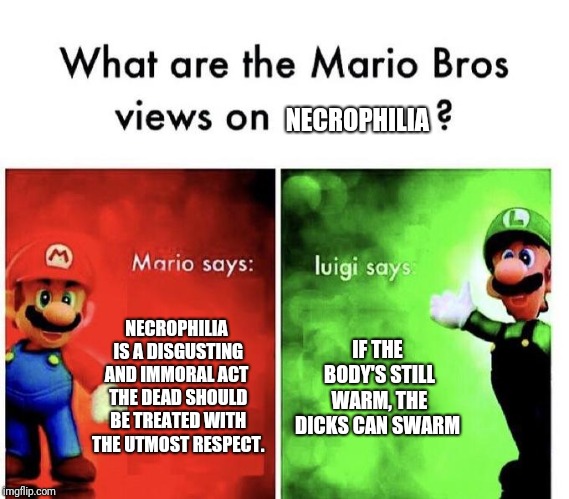 Mario Bros Views | NECROPHILIA; NECROPHILIA IS A DISGUSTING AND IMMORAL ACT
 THE DEAD SHOULD BE TREATED WITH THE UTMOST RESPECT. IF THE BODY'S STILL WARM, THE DICKS CAN SWARM | image tagged in mario bros views,EdgyMemes | made w/ Imgflip meme maker