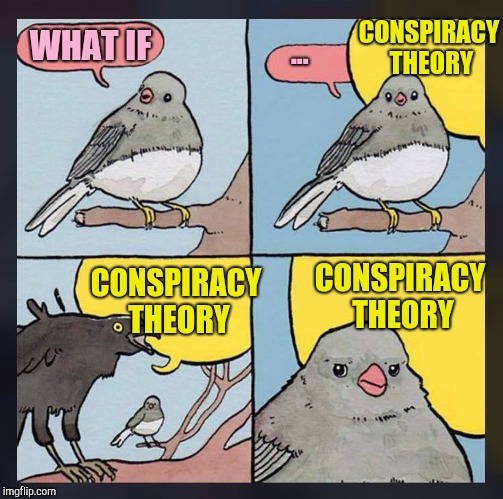 Cawling Crow | CONSPIRACY THEORY; WHAT IF; ... CONSPIRACY THEORY; CONSPIRACY THEORY | image tagged in cawling crow | made w/ Imgflip meme maker