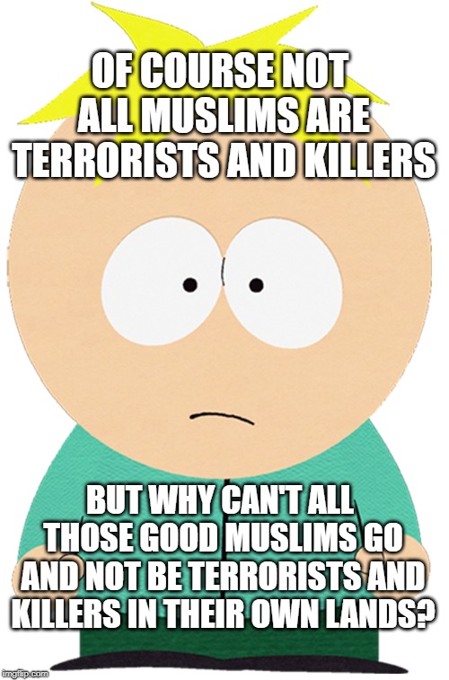 Butters asks about life | OF COURSE NOT ALL MUSLIMS ARE TERRORISTS AND KILLERS; BUT WHY CAN'T ALL THOSE GOOD MUSLIMS GO AND NOT BE TERRORISTS AND KILLERS IN THEIR OWN LANDS? | image tagged in butters,meme,pol,muslims | made w/ Imgflip meme maker