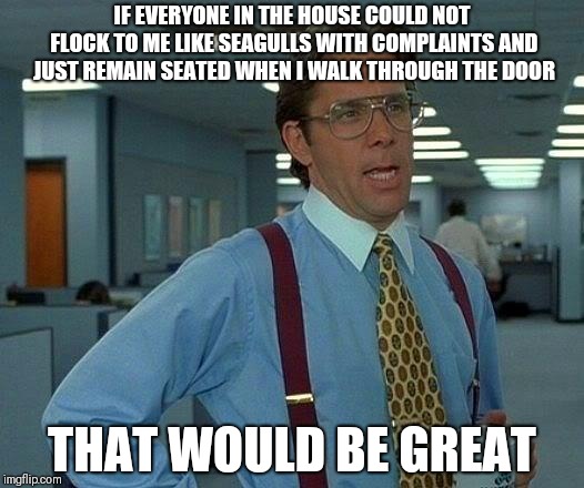 Don't stand on my account | IF EVERYONE IN THE HOUSE COULD NOT FLOCK TO ME LIKE SEAGULLS WITH COMPLAINTS AND JUST REMAIN SEATED WHEN I WALK THROUGH THE DOOR; THAT WOULD BE GREAT | image tagged in memes,that would be great | made w/ Imgflip meme maker
