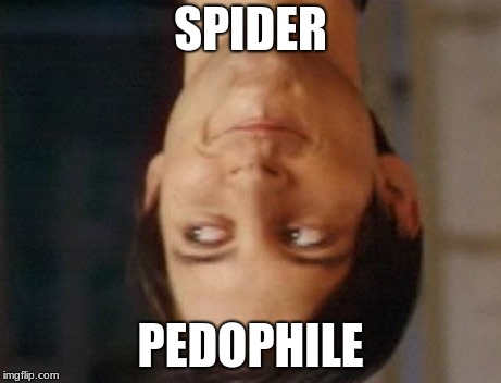 Spiderman Peter Parker Meme | SPIDER; PEDOPHILE | image tagged in memes,spiderman peter parker | made w/ Imgflip meme maker