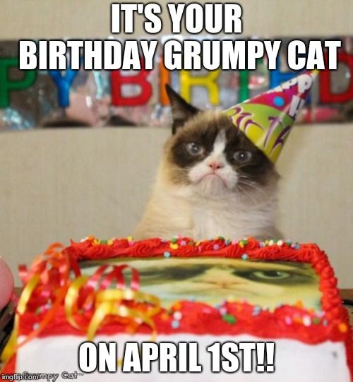 Grumpy Cat Birthday | IT'S YOUR BIRTHDAY GRUMPY CAT; ON APRIL 1ST!! | image tagged in memes,grumpy cat birthday,grumpy cat | made w/ Imgflip meme maker