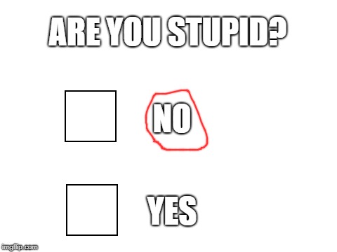 Why are people asking me weird questions?!? | ARE YOU STUPID? NO; YES | image tagged in blank white template | made w/ Imgflip meme maker