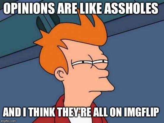 ;) | OPINIONS ARE LIKE ASSHOLES; AND I THINK THEY’RE ALL ON IMGFLIP | image tagged in memes,futurama fry | made w/ Imgflip meme maker