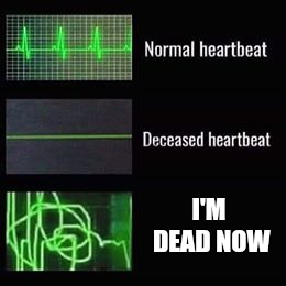 heartbeat rate | I'M DEAD NOW | image tagged in heartbeat rate | made w/ Imgflip meme maker
