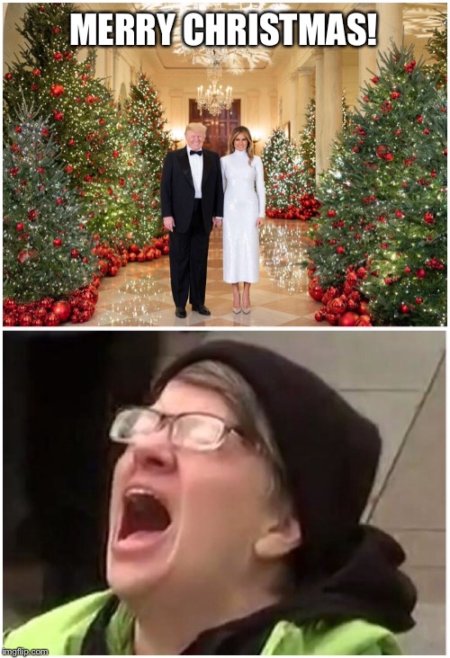 Merry Christmas! | MERRY CHRISTMAS! | image tagged in christmas,white house,trump,triggered,libtards | made w/ Imgflip meme maker