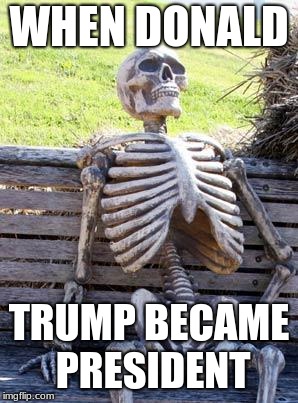 Waiting Skeleton | WHEN DONALD; TRUMP BECAME PRESIDENT | image tagged in memes,waiting skeleton | made w/ Imgflip meme maker