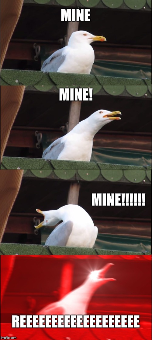 Inhaling Seagull Meme | MINE; MINE! MINE!!!!!! REEEEEEEEEEEEEEEEEEE | image tagged in memes,inhaling seagull | made w/ Imgflip meme maker