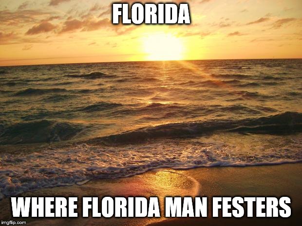 Florida Sunrise | FLORIDA WHERE FLORIDA MAN FESTERS | image tagged in florida sunrise | made w/ Imgflip meme maker