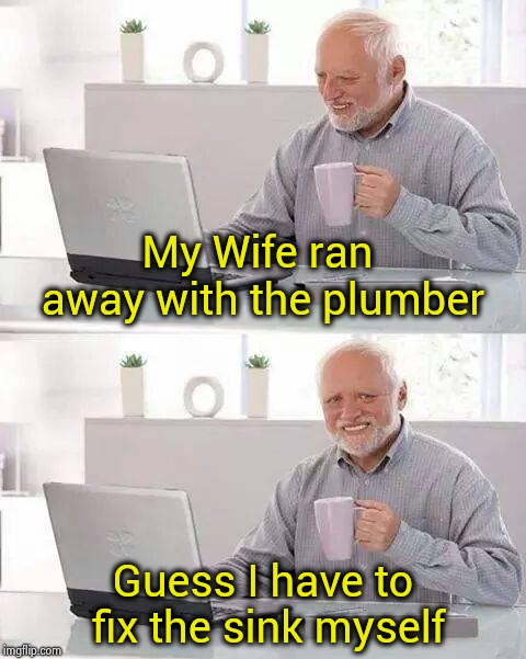Always look on the bright side | My Wife ran away with the plumber; Guess I have to fix the sink myself | image tagged in memes,hide the pain harold,lucky,married,ain't nobody got time for that,good bye | made w/ Imgflip meme maker