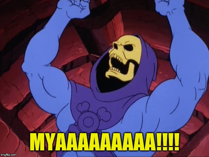 Skeletor | MYAAAAAAAAA!!!! | image tagged in skeletor | made w/ Imgflip meme maker