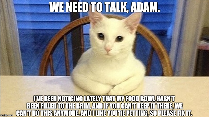 Adam!  | WE NEED TO TALK, ADAM. I'VE BEEN NOTICING LATELY THAT MY FOOD BOWL HASN'T BEEN FILLED TO THE BRIM, AND IF YOU CAN'T KEEP IT THERE, WE CAN'T DO THIS ANYMORE. AND I LIKE YOU'RE PETTING, SO PLEASE FIX IT. | image tagged in we need to talk cat,memes | made w/ Imgflip meme maker