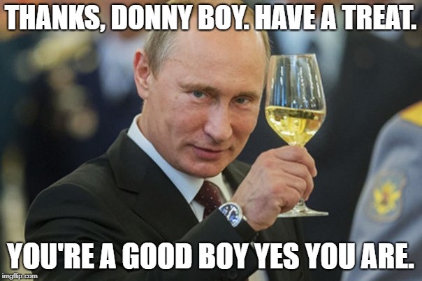 Putin Cheers | THANKS, DONNY BOY. HAVE A TREAT. YOU'RE A GOOD BOY YES YOU ARE. | image tagged in putin cheers | made w/ Imgflip meme maker