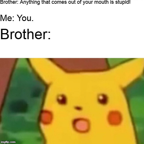 Surprised Pikachu Meme | Brother: Anything that comes out of your mouth is stupid! Me: You. Brother: | image tagged in memes,surprised pikachu | made w/ Imgflip meme maker